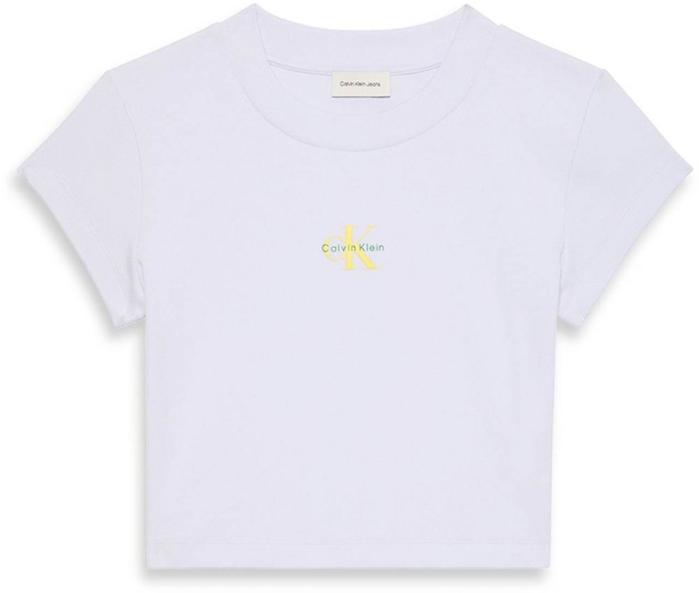 Calvin Klein Jeans Tričko  zelená / pastelovo fialová