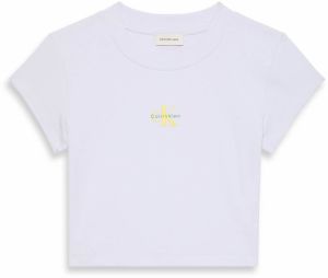 Calvin Klein Jeans Tričko  zelená / pastelovo fialová