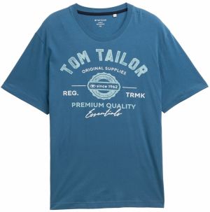 TOM TAILOR Men + Tričko  modrozelená / svetlomodrá