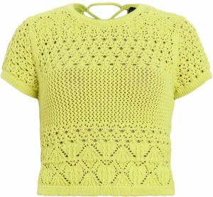 AllSaints Tričko 'BRIAR'  svetlozelená