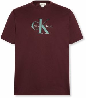Calvin Klein Jeans Tričko 'Hero'  čokoládová / mätová / pastelovo zelená