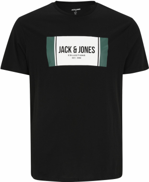 Jack & Jones Plus Tričko 'JJHAYATO'  zelená / čierna / biela
