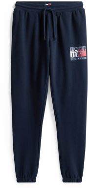 Tommy Jeans Nohavice  námornícka modrá / červená / biela