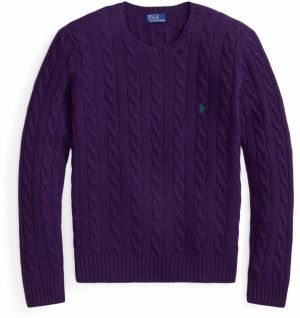 Polo Ralph Lauren Sveter  zelená / baklažánová