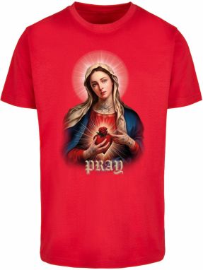Mister Tee Tričko  telová / žltohnedá / tmavomodrá / ohnivo červená