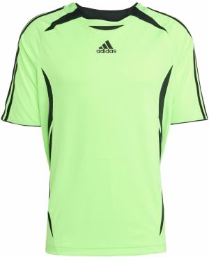 ADIDAS ORIGINALS Funkčné tričko 'Teamgeist Adicolor'  svetlozelená / čierna