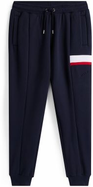 TOMMY HILFIGER Nohavice  tmavomodrá / brusnicová / biela