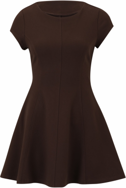 Vero Moda Petite Šaty  čokoládová