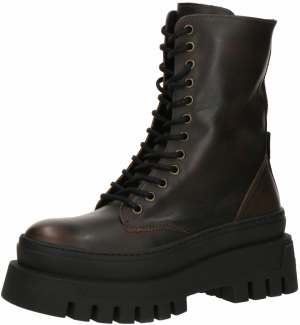 STEVE MADDEN Šnurovacie členkové čižmy 'COAST'  tmavohnedá