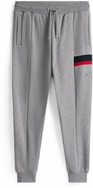 TOMMY HILFIGER Nohavice  námornícka modrá / sivá melírovaná / červená