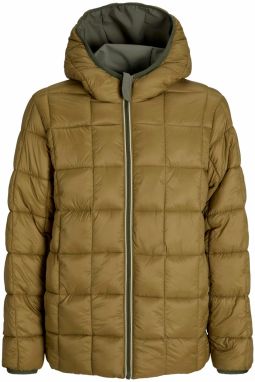 JACK & JONES Zimná bunda 'JJEBrook'  olivová
