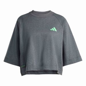ADIDAS PERFORMANCE Funkčné tričko 'Mercedes - AMG Petronas Formula One Team'  sivá / neónovo zelená