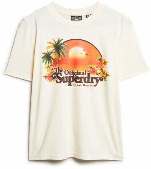 Superdry Tričko 'Travel Souvenir'  hnedá / zelená / oranžová / šedobiela