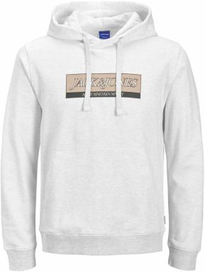 JACK & JONES Mikina 'JORINWOOD'  svetlohnedá / sivá / biela