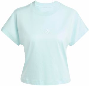 ADIDAS SPORTSWEAR Funkčné tričko 'ALL SZN'  svetlomodrá