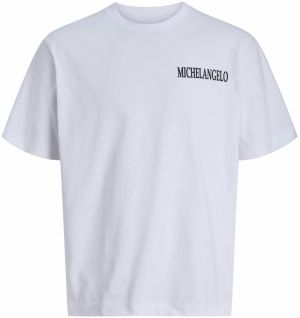 JACK & JONES Tričko 'JJAPOH'  nebielená / azúrová / čierna / biela