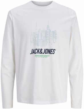 JACK & JONES Tričko 'JORYORK'  svetlomodrá / tmavomodrá / svetlozelená / biela