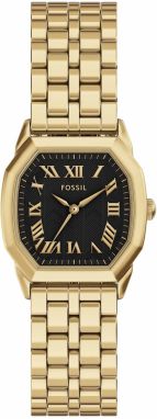 FOSSIL Analógové hodinky 'HARLOW'  zlatá / čierna