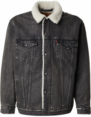 LEVI'S ® Prechodná bunda  béžová / sivá