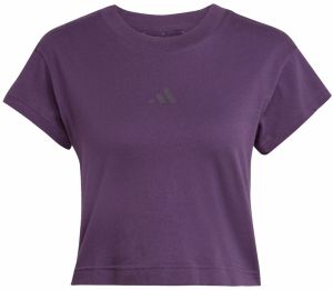 ADIDAS SPORTSWEAR Funkčné tričko  baklažánová / černicová