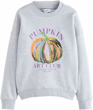 Next Mikina 'Halloween'  sivá / tmavozelená / fialová / oranžová