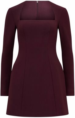 Forever New Šaty 'Ruby'  vínovo červená