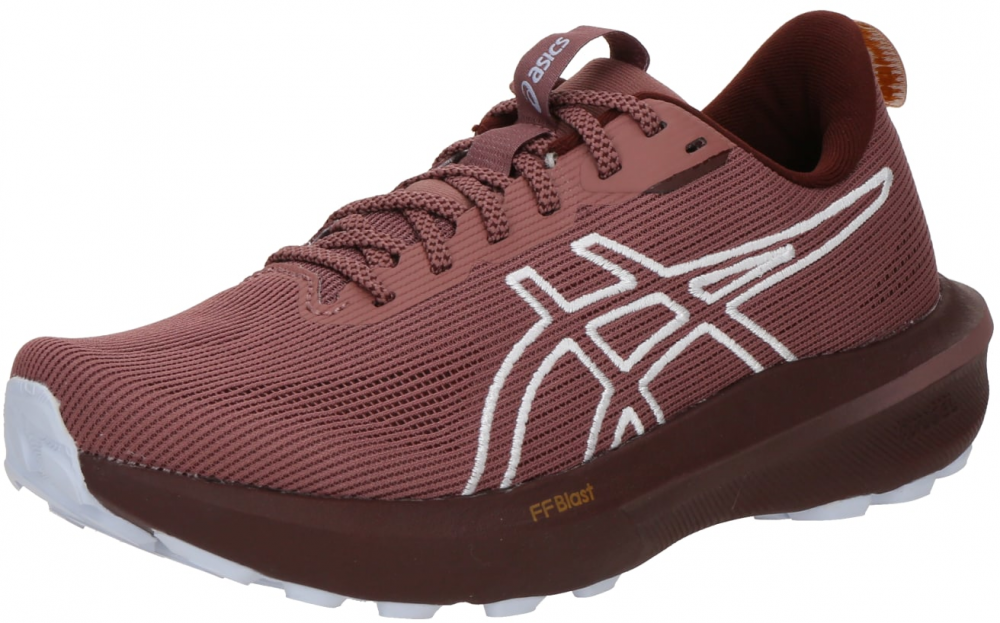 ASICS Bežecká obuv 'GT-1000 14'  karmínovo červená / biela