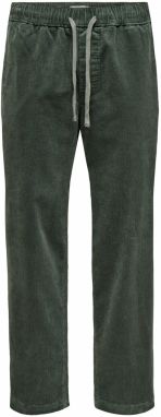Only & Sons Nohavice 'ONSFADE'  tmavozelená