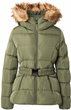 Superdry Prechodná bunda 'FUJI'  zelená