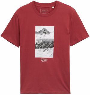 TOM TAILOR DENIM Tričko  svetlosivá / tmavosivá / ohnivo červená / biela