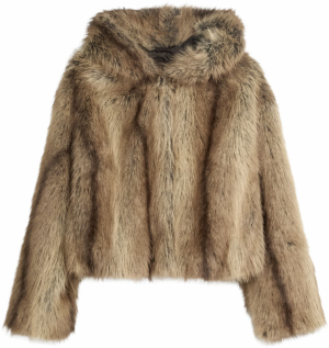 Bershka Zimná bunda  hnedá / svetlohnedá