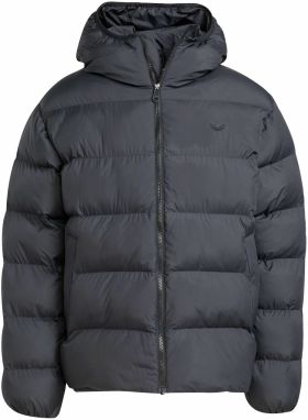 ADIDAS ORIGINALS Zimná bunda  čierna