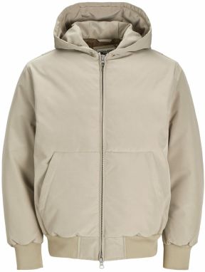 JACK & JONES Prechodná bunda 'JJCollective'  tmelová