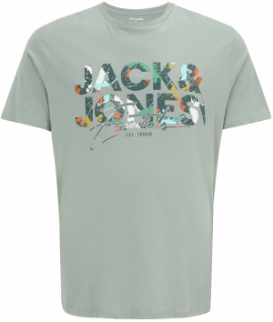 JACK & JONES Tričko 'JJGEPLAS'  zelená / pastelovo zelená / biela