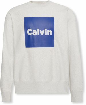Calvin Klein Jeans Mikina  tmavomodrá / svetlosivá