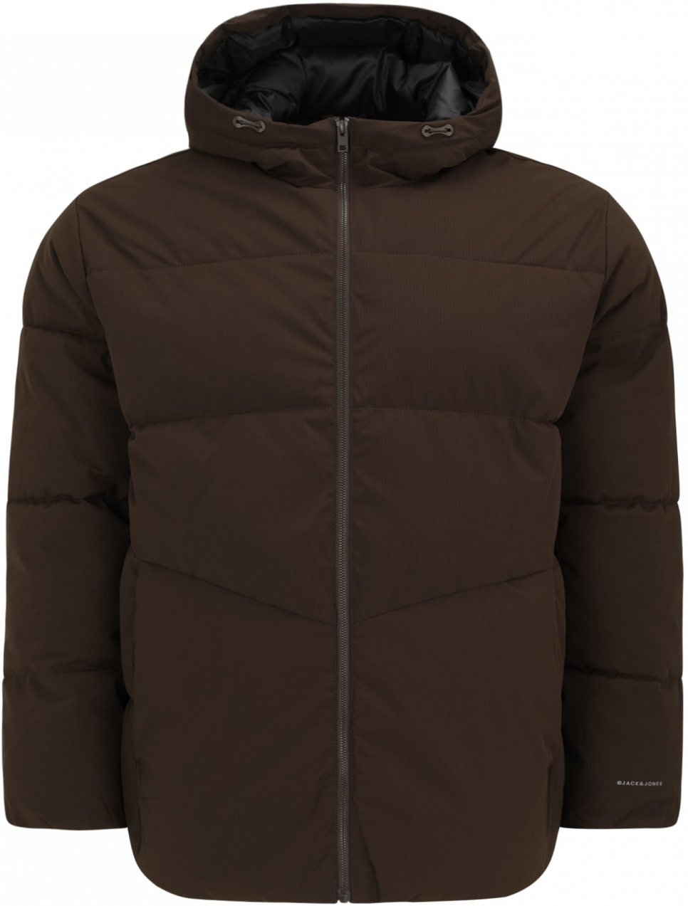 Jack & Jones Plus Zimná bunda 'JJGLOBAL'  tmavohnedá