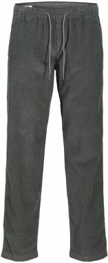 JACK & JONES Nohavice 'JPSTKANE'  tmavosivá