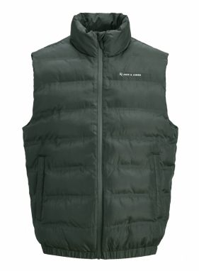 JACK & JONES Vesta 'JJALPES'  jedľová / biela