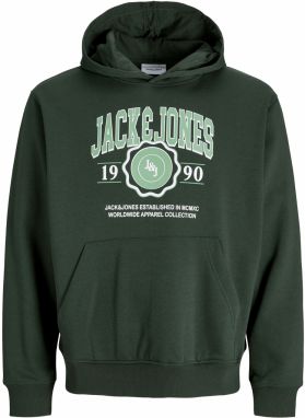 JACK & JONES Mikina 'JJMAKO'  mätová / jedľová / biela