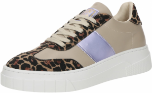 STEVE MADDEN Nízke tenisky 'Callie'  tmavobéžová / svetlomodrá / hnedá / čierna