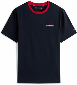TOMMY HILFIGER Tričko 'AMERICANA'  modrá / námornícka modrá / červená / biela