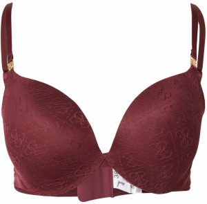 GUESS Podprsenka 'Nora'  vínovo červená