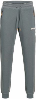 JACK & JONES Nohavice 'JPSTGordon'  modrosivá