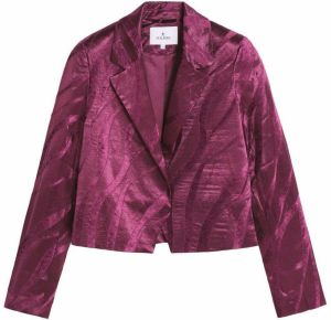 Scalpers Blejzer  purpurová / tmavoružová