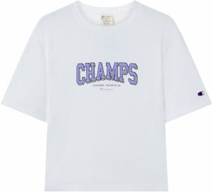 Champion Authentic Athletic Apparel Tričko  sivá / fialová / čierna / biela