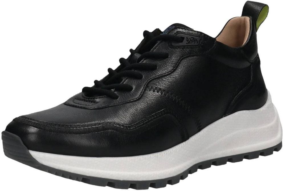 SALAMANDER Nízke tenisky  čierna