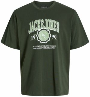 Jack & Jones Plus Tričko 'JJMako'  pastelovo zelená / tmavozelená / biela