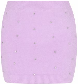 faina Sukňa  fialová / priehľadná