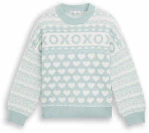 TOM TAILOR DENIM Sveter  mätová / biela