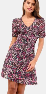 Lipsy Šaty  ružová / ružová